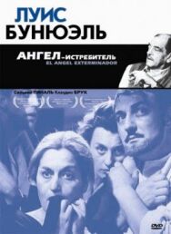 Постер к фильму Ангел-истребитель смотреть онлайн на HD Rezka