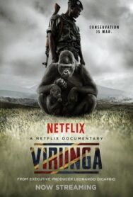 Постер к фильму Вирунга смотреть онлайн на HD Rezka