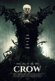 Постер к фильму Ворон смотреть онлайн на HD Rezka