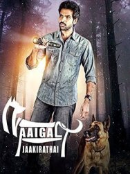 Постер к фильму Берегитесь собак смотреть онлайн на HD Rezka