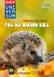 Постер к фильму Год из жизни ежа смотреть онлайн на HD Rezka