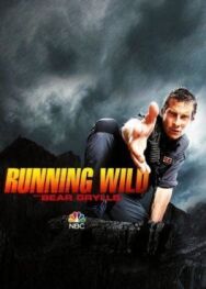 Постер к фильму В дикой природе с Беаром Гриллсом смотреть онлайн на HD Rezka