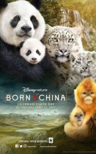 Постер к фильму Рождённые в Китае смотреть онлайн на HD Rezka