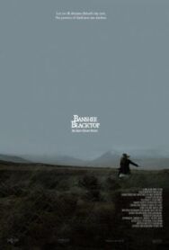 Постер к фильму Баньши: история ирландских призраков смотреть онлайн на HD Rezka