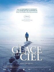 Постер к фильму Лёд и небо смотреть онлайн на HD Rezka