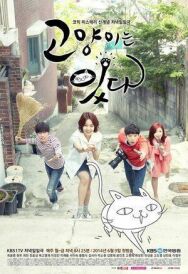 Постер к фильму Мой дорогой кот смотреть онлайн на HD Rezka