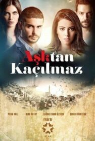 Постер к фильму От любви не убежать смотреть онлайн на HD Rezka