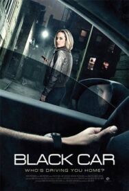 Постер к фильму Роковая поездка смотреть онлайн на HD Rezka