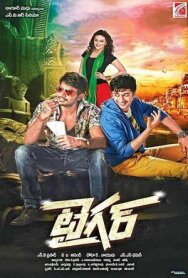 Постер к фильму Тигр смотреть онлайн на HD Rezka