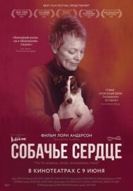 Постер к фильму Собачье сердце смотреть онлайн на HD Rezka