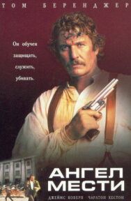 Постер к фильму Ангел мести смотреть онлайн на HD Rezka