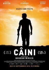 Постер к фильму Собаки смотреть онлайн на HD Rezka