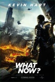 Постер к фильму Кевин Харт: Что теперь? смотреть онлайн на HD Rezka