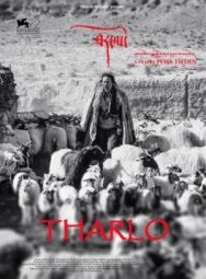 Постер к фильму Тарло смотреть онлайн на HD Rezka