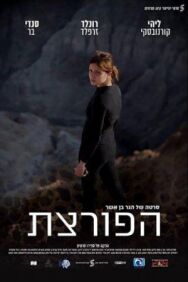 Постер к фильму Взломщица смотреть онлайн на HD Rezka