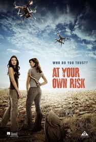 Постер к фильму На свой страх и риск смотреть онлайн на HD Rezka