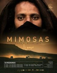 Постер к фильму Мимозы смотреть онлайн на HD Rezka