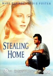 Постер к фильму Украсть дом смотреть онлайн на HD Rezka