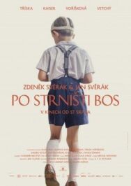 Постер к фильму Босиком по стерне смотреть онлайн на HD Rezka