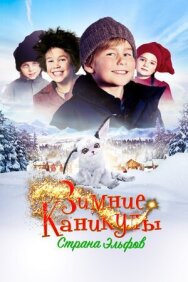 Постер к фильму Зимние каникулы: Страна эльфов смотреть онлайн на HD Rezka